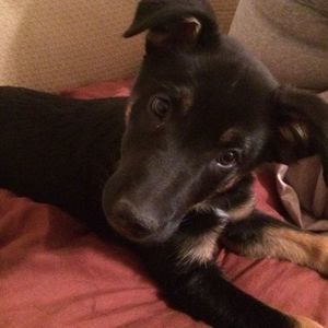 Meet your Posher, Marsha